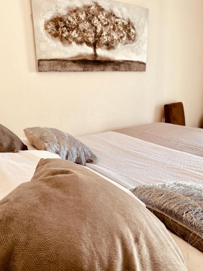 Apartment Elena Donji Okrug  Eksteriør billede